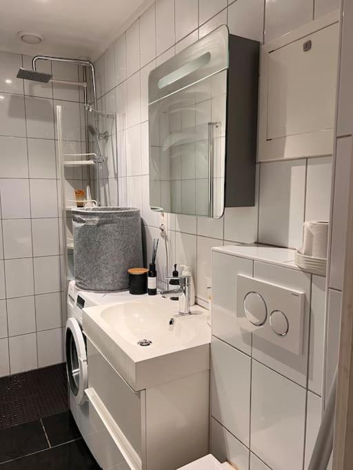Royal Neighbourhood Elegant Flat In Central ออสโล ภายนอก รูปภาพ